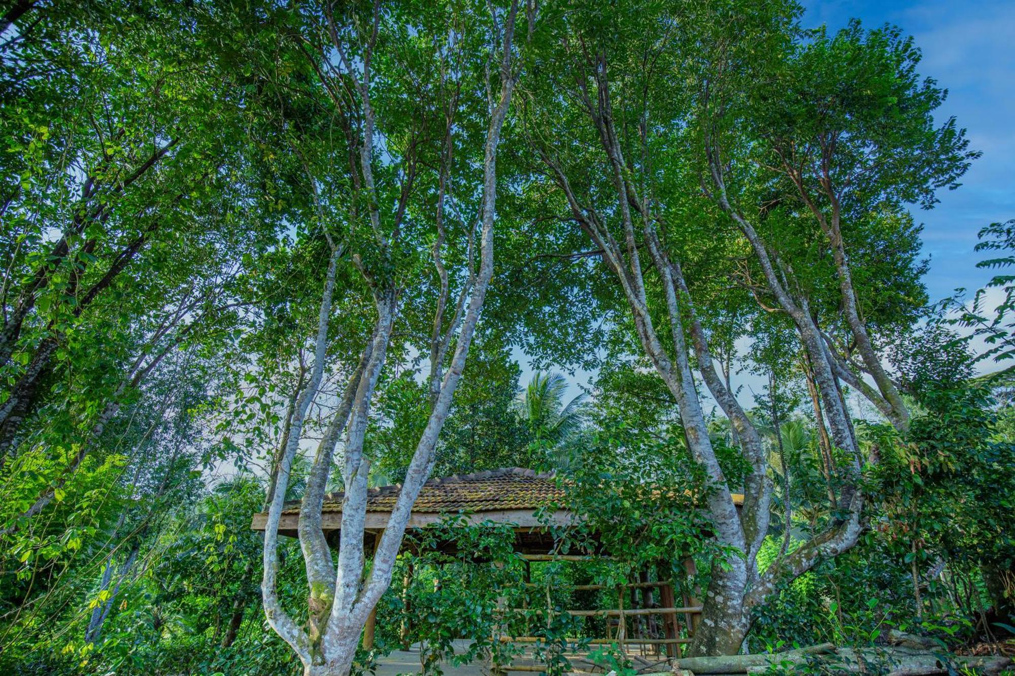Tea House *
