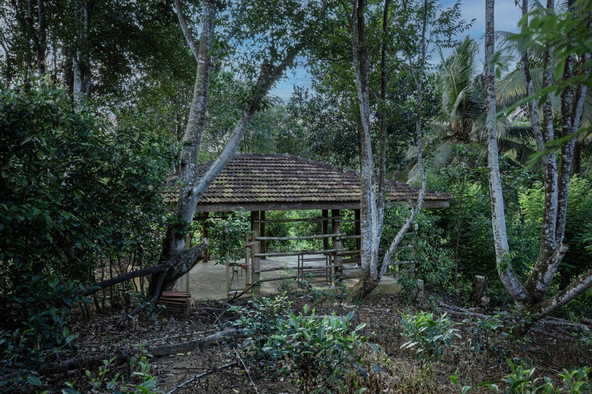Tea House *