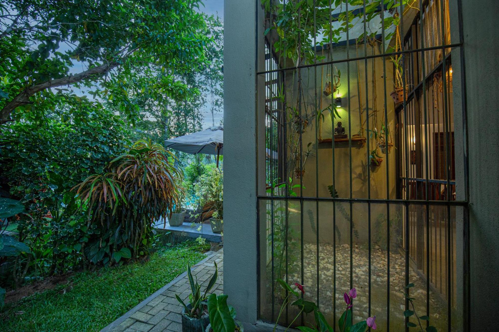 Tea House فيلة كالي